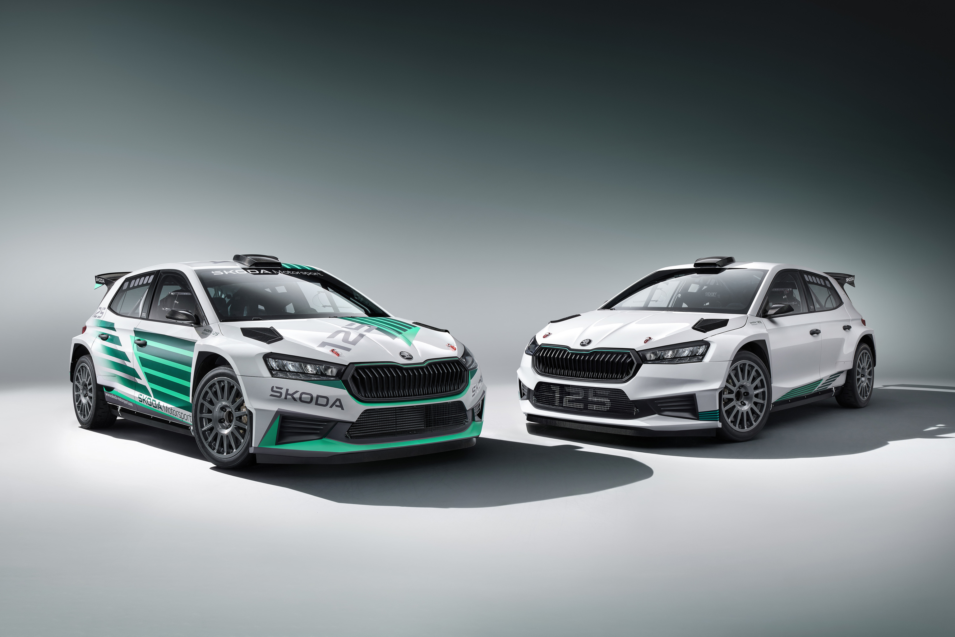 Škoda Fabia RS Rally2