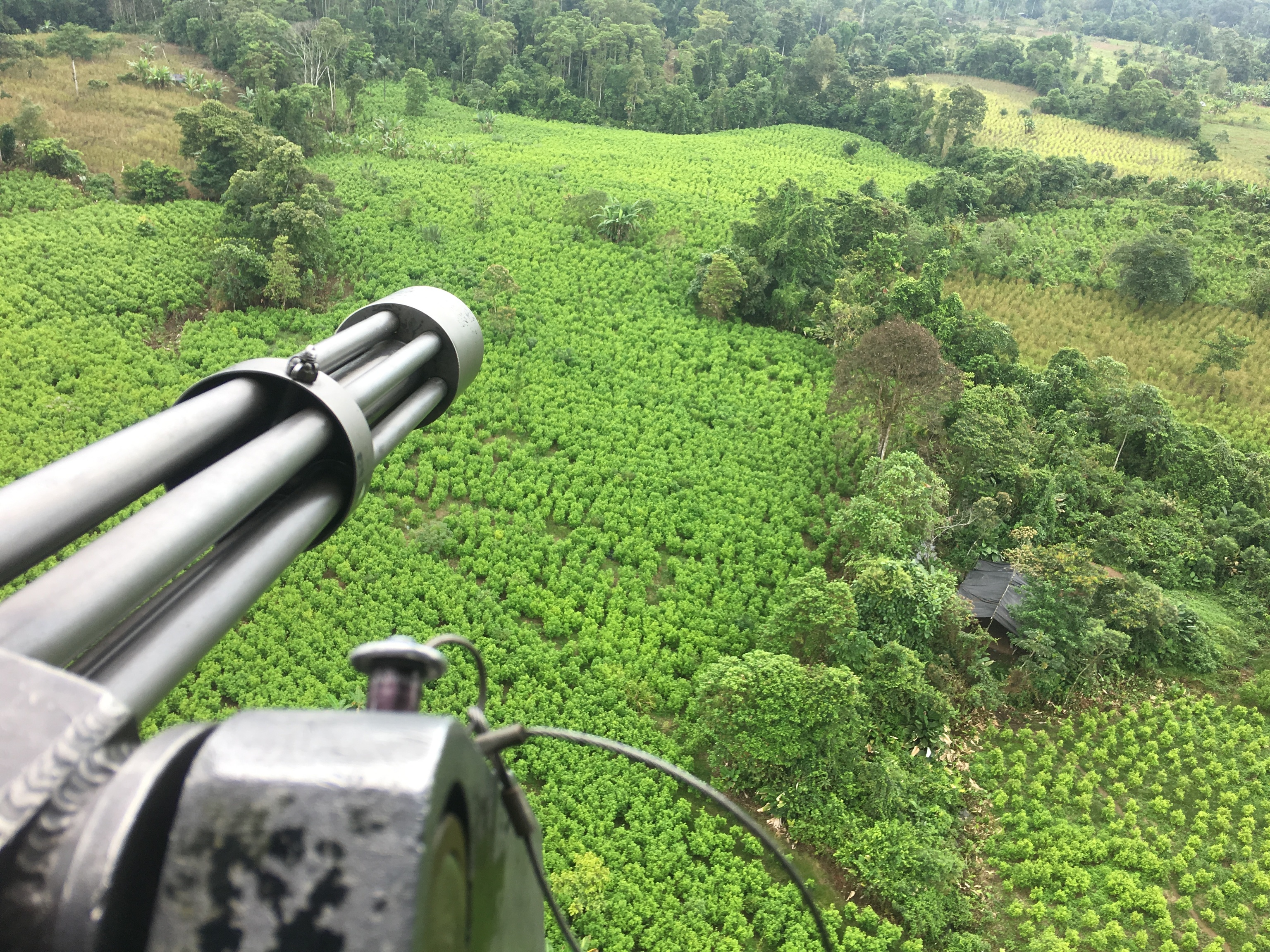 Un helicóptero sobrevuela sobre un campo de coca en Tumaco