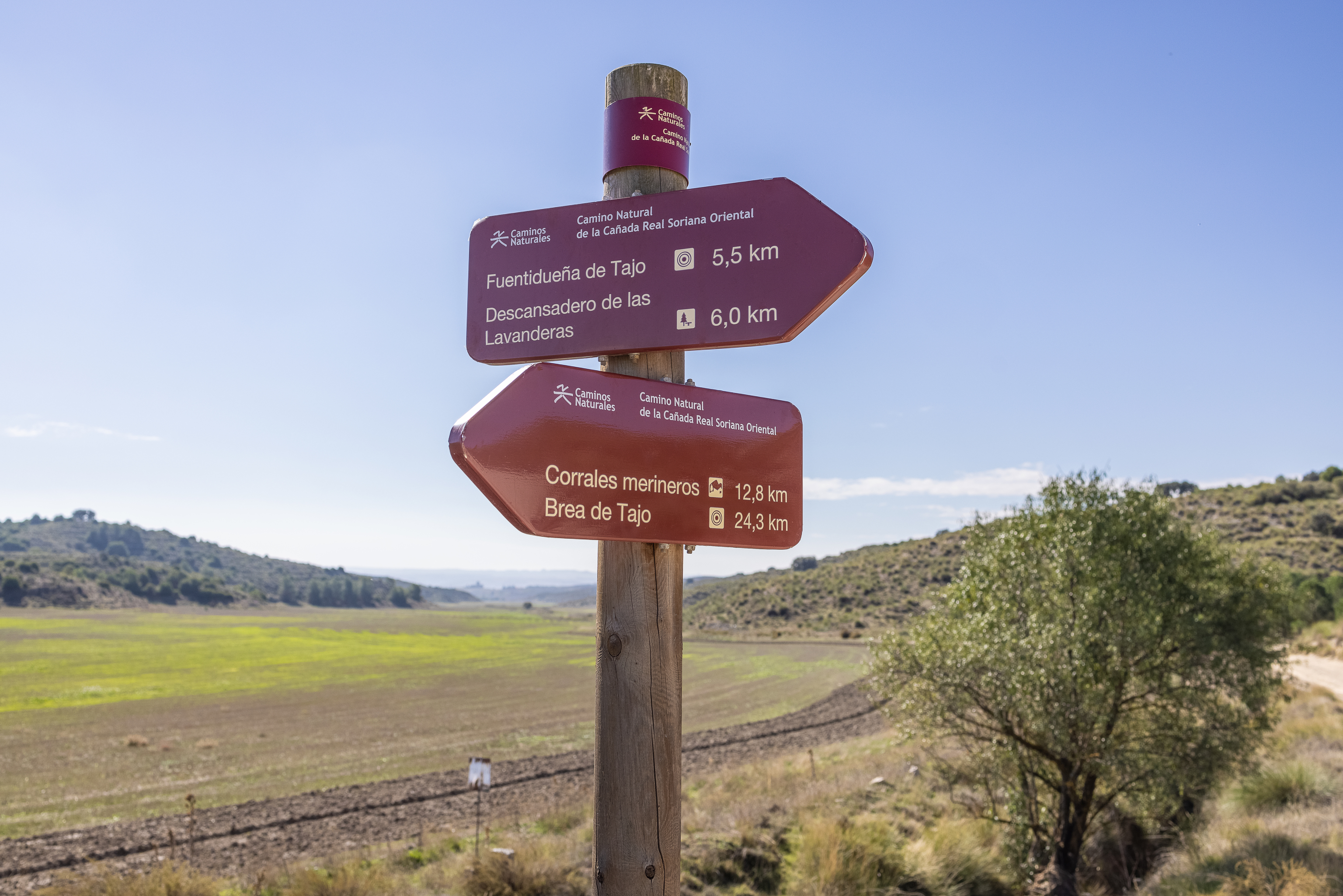 Cruce de los Caminos Naturales.