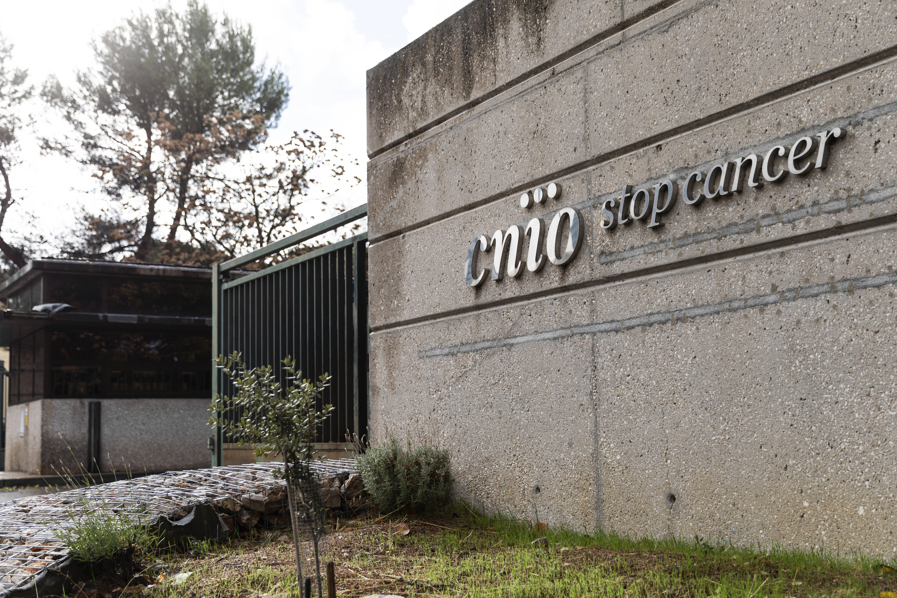 Acceso al Centro Nacional de Investigaciones Oncológicas (CNIO).