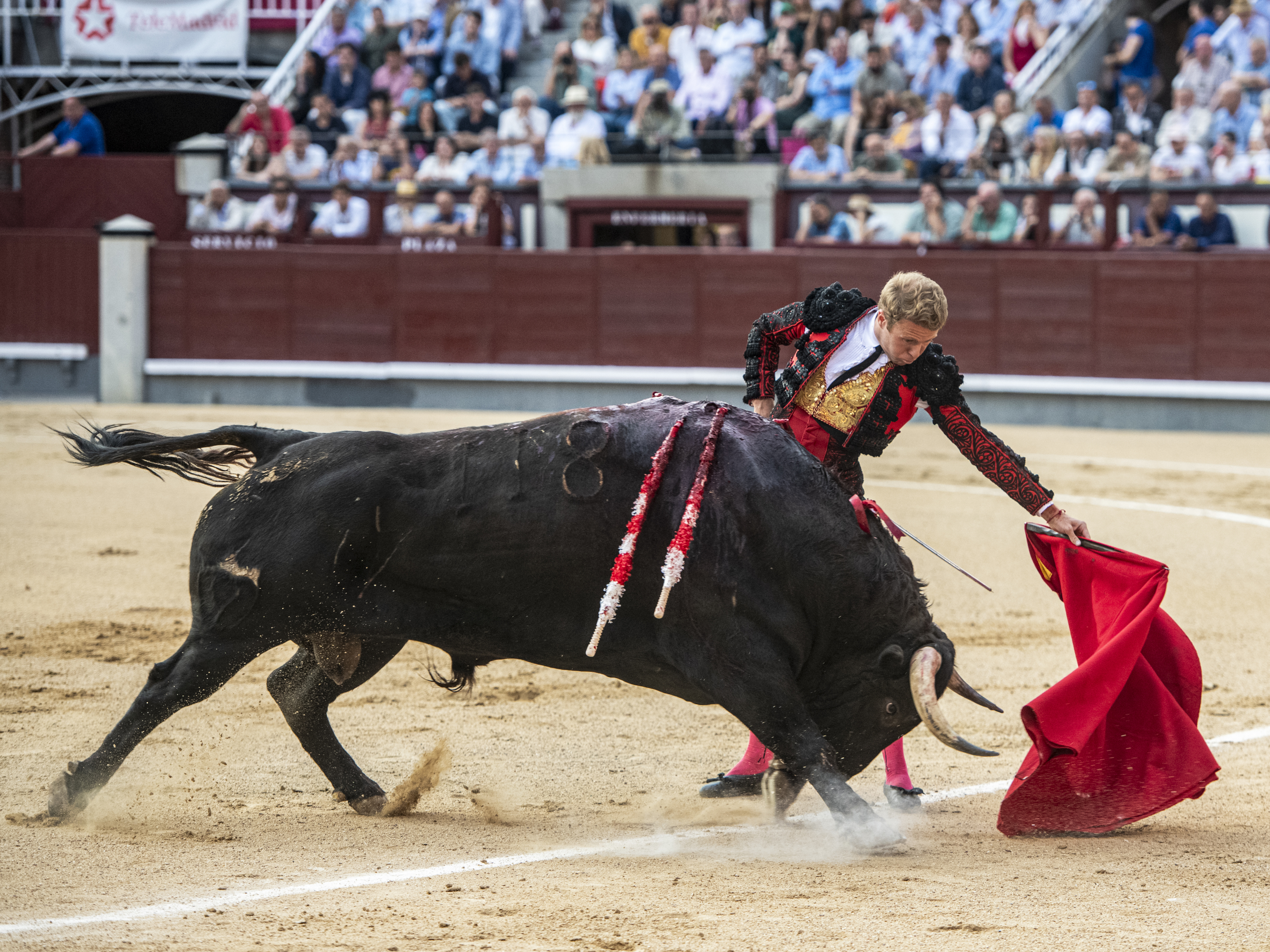 Natural de Clemente el pasado jueves en Las Ventas