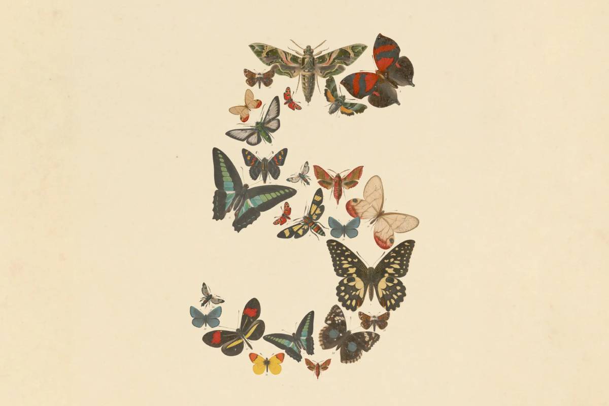 Claude Fable 5