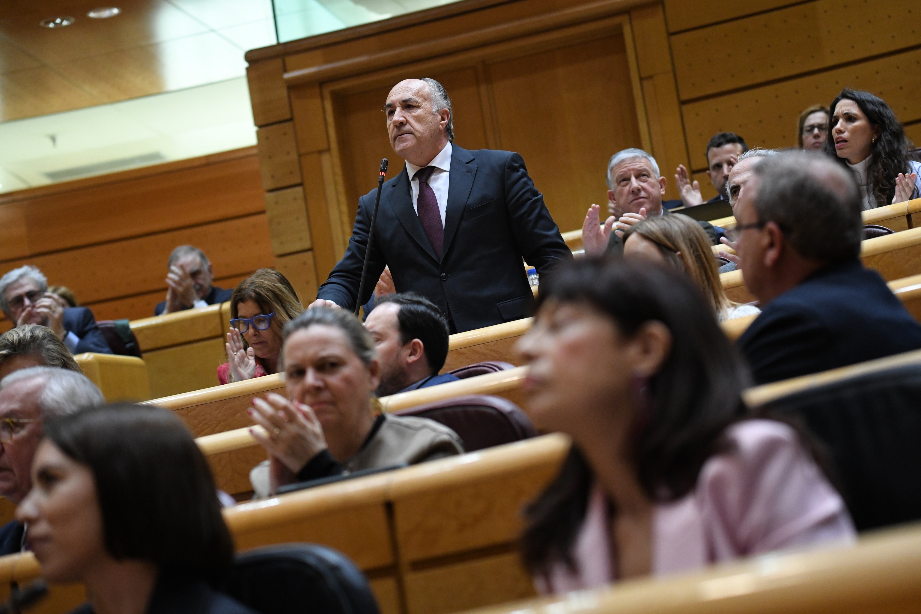 José Ignacio Landaluce, durante una intervención en el Senado.