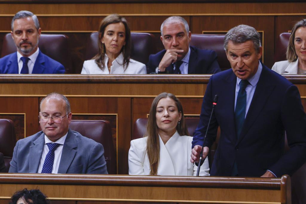 Alberto Núñez Feijóo, este miércoles, en la sesión de control al Gobierno en el Congreso.