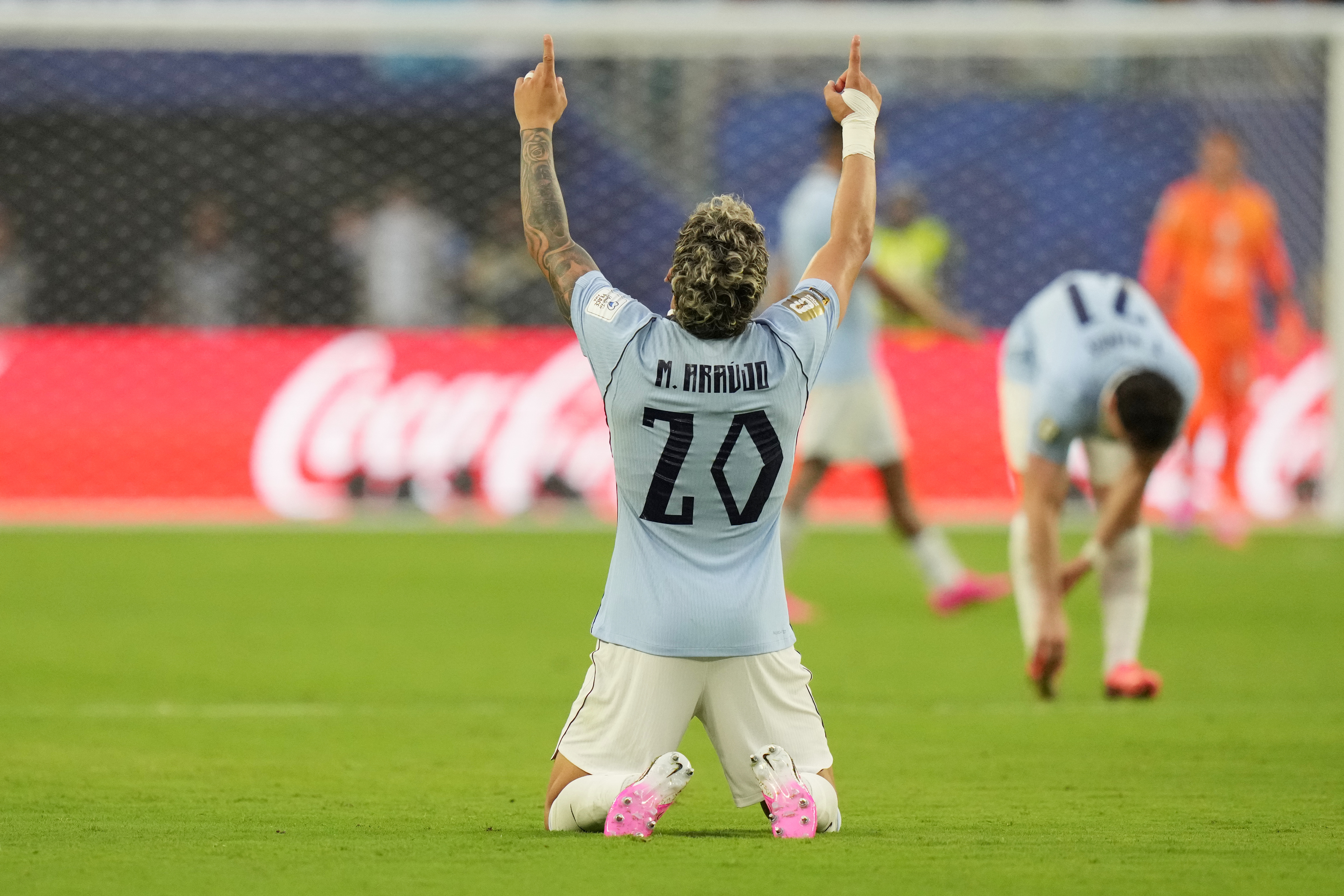 Maxi Ara