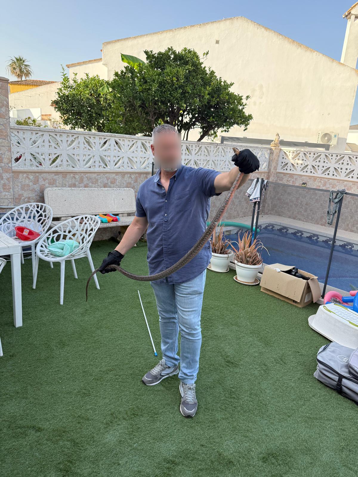 La serpiente capturada en una vivienda de Algeciras.