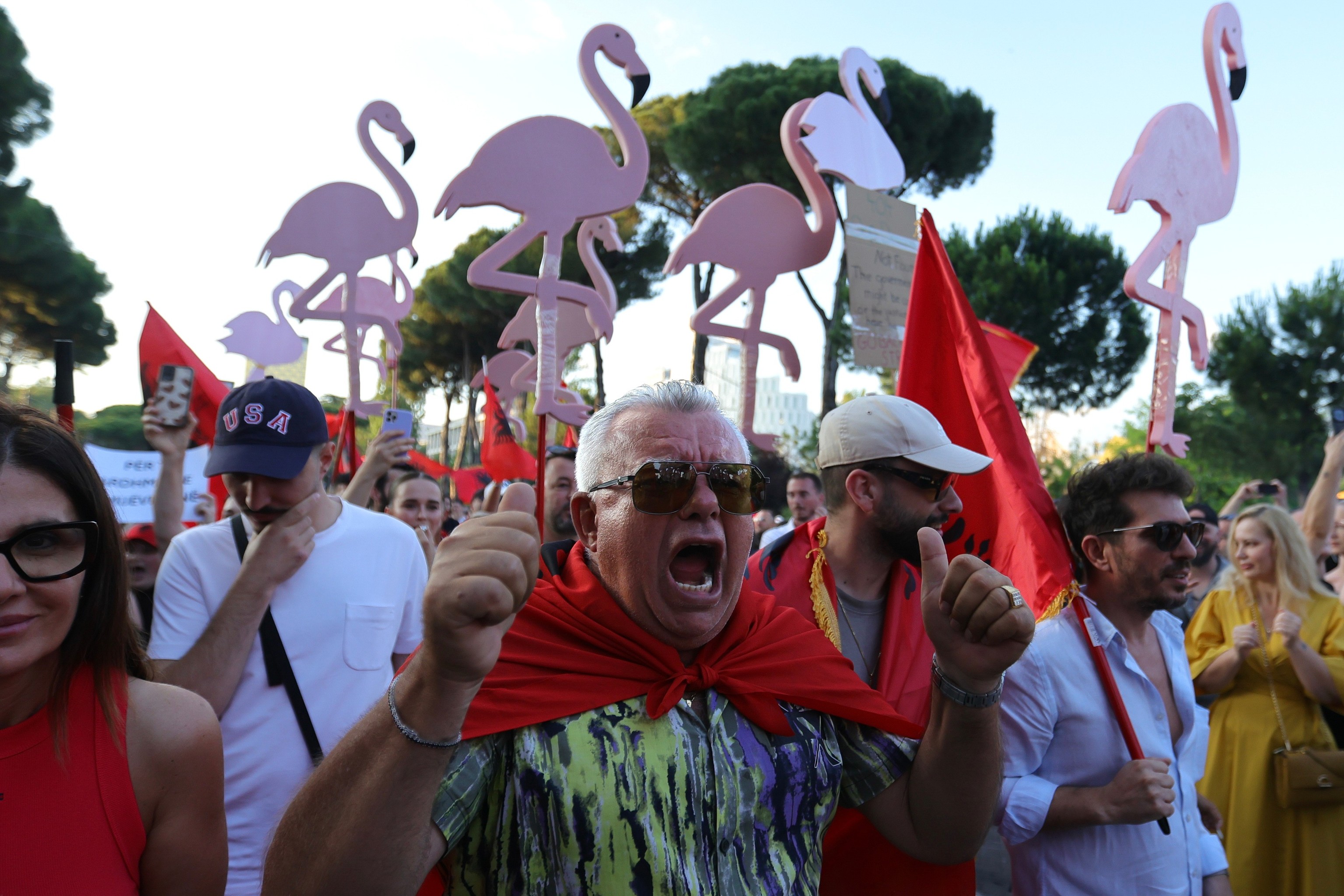 Los flamencos son el símbolo de esta revolución.