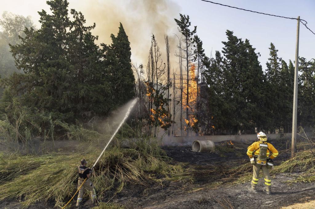 A ello se suma la expansión de las urbanizaciones hacia zonas forestales, en muchos casos sin una planificación adecuada.