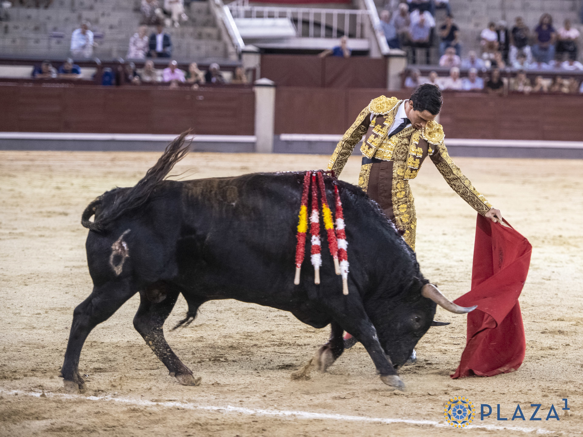 Natural de El Mene, que cortó una oreja.