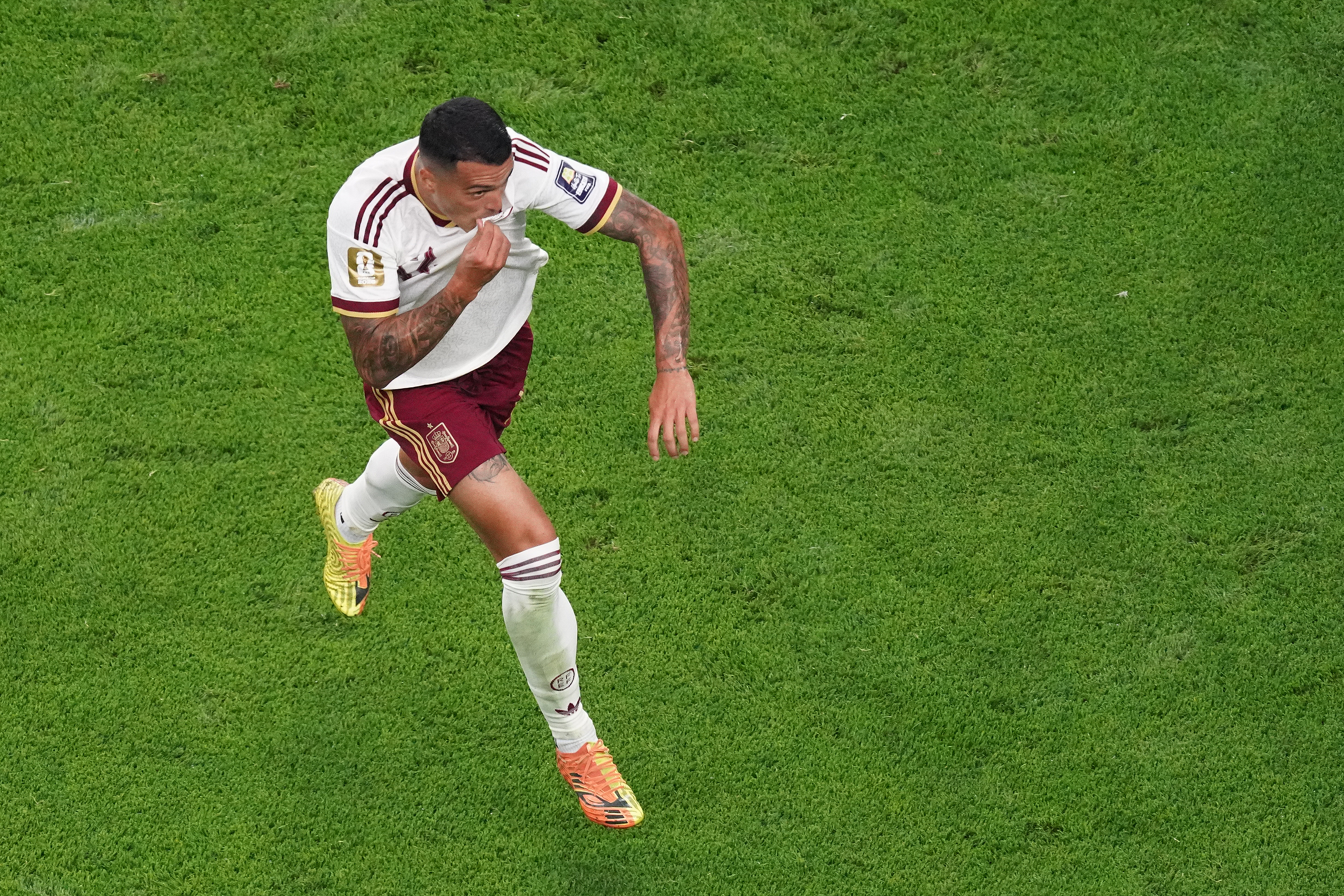 Porro festeja su gol ante Francia en semifinales.