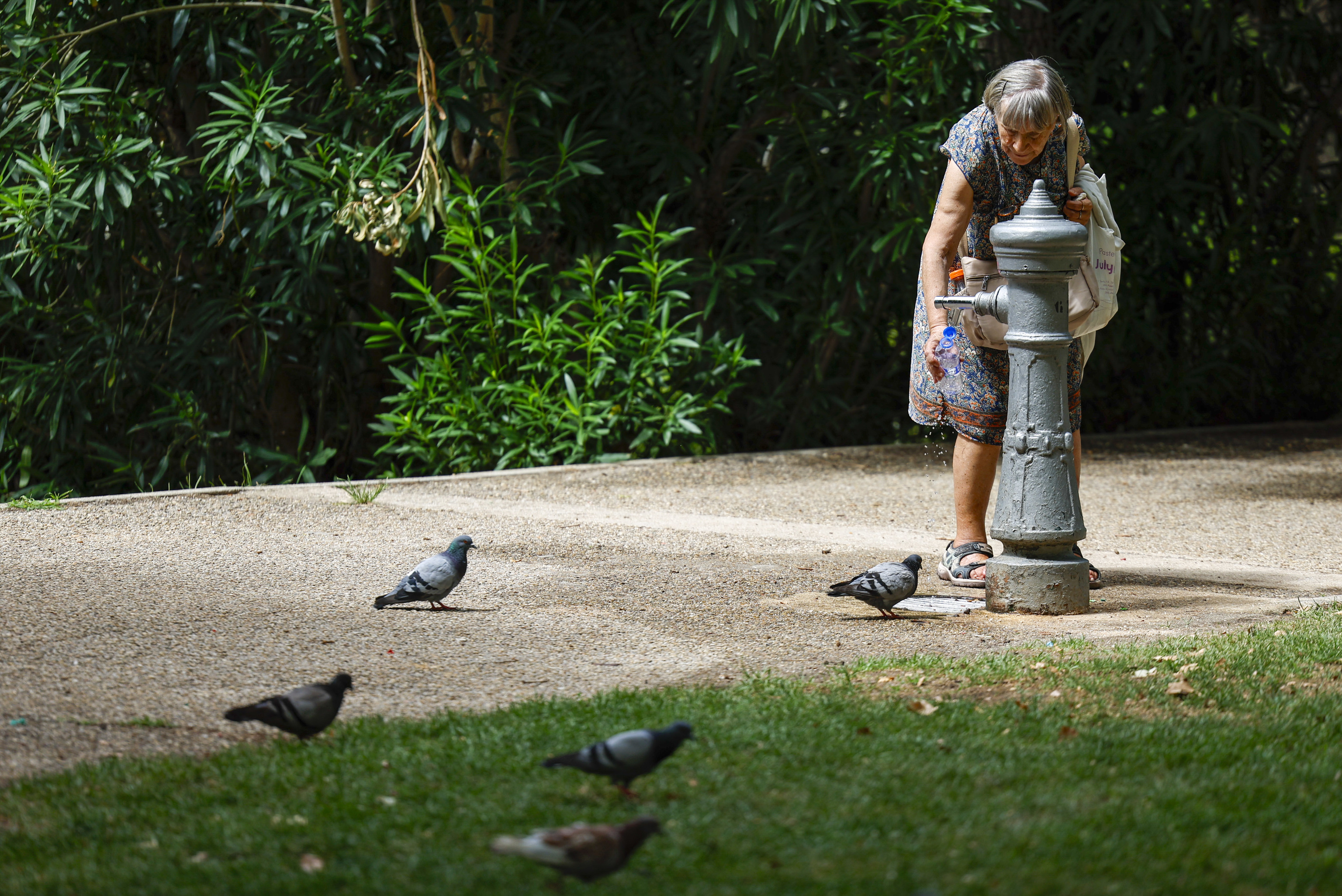 Una mujer llena una botella de agua en una fuente pública en un parque en Madrid este miércoles.