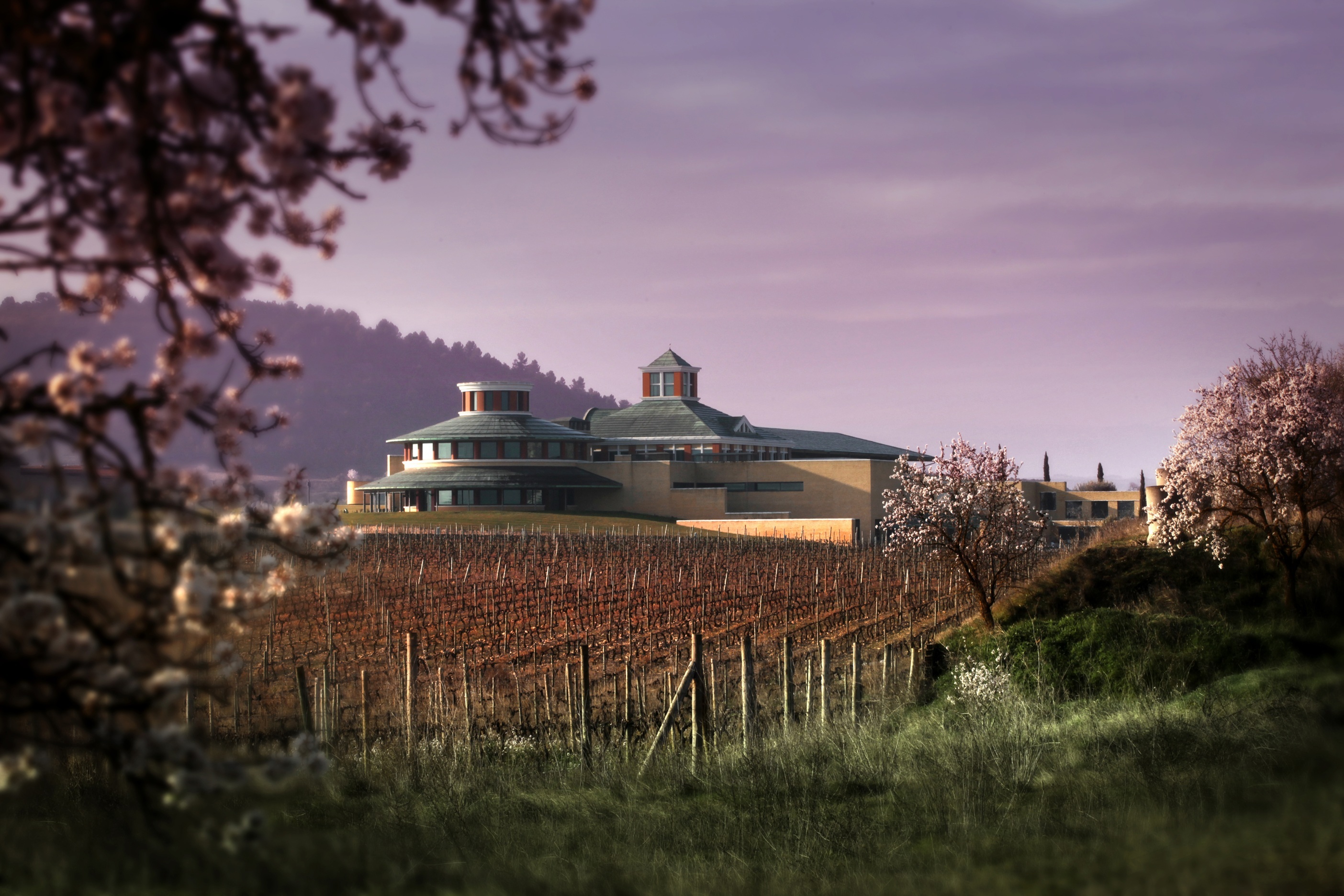 el Museo Vivanco Cultura de Vino, en
La Rioja.