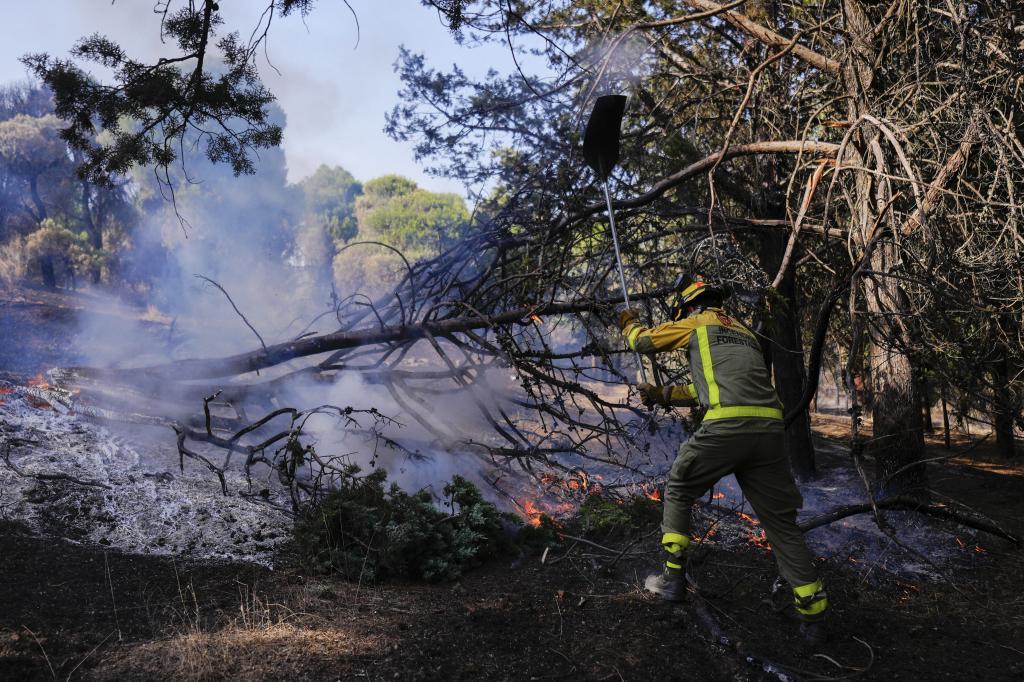 Incendios en España