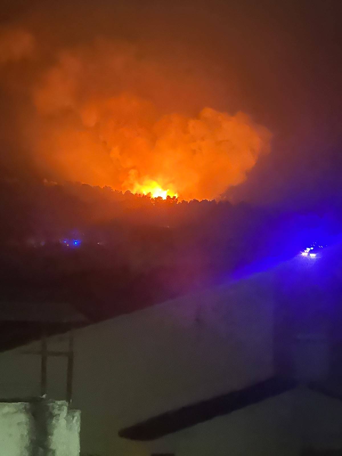 El rebrote que se quedó a apenas 120 metros del bosque, el pasado sábado.
