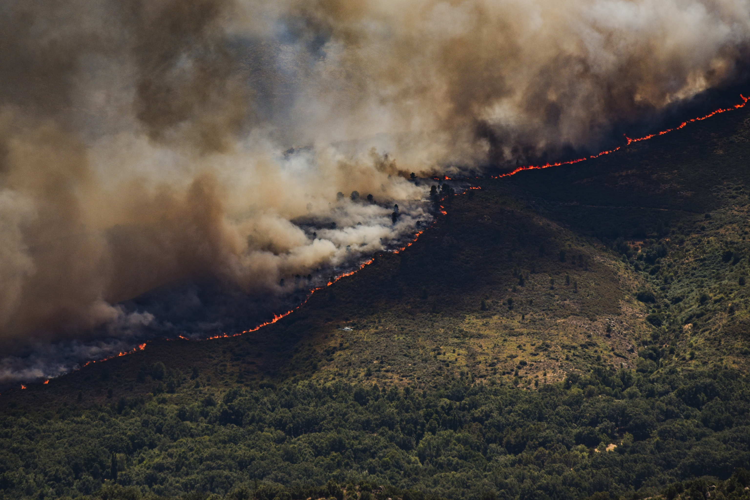 Vista de una espesa columna de humo provocada por un incendio forestal, a 23 de julio de 2026, en Burgohondo, �vila, Castilla y Le�n.