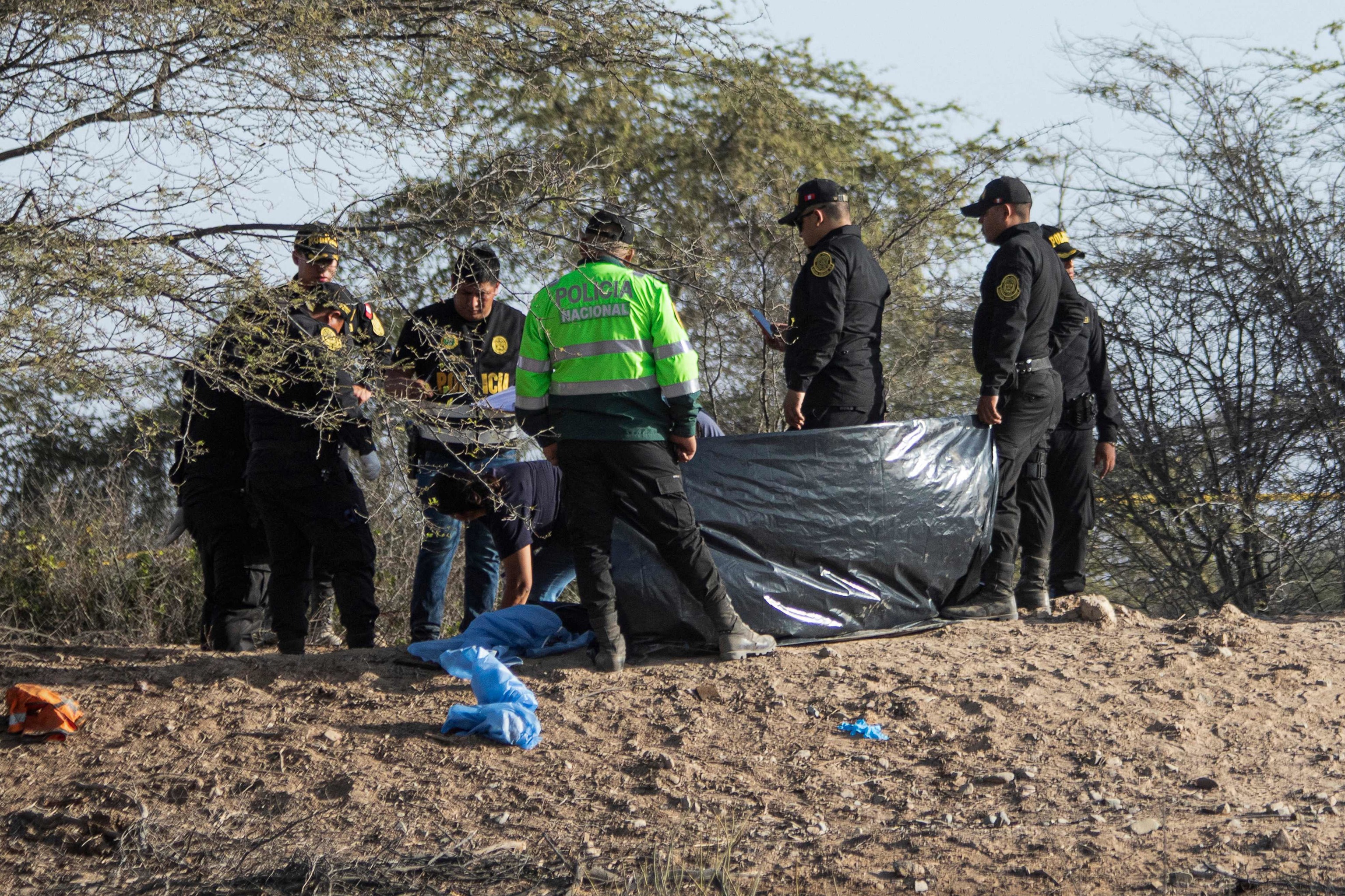 Los equipos forenses, en la zona del accidente de la avioneta.