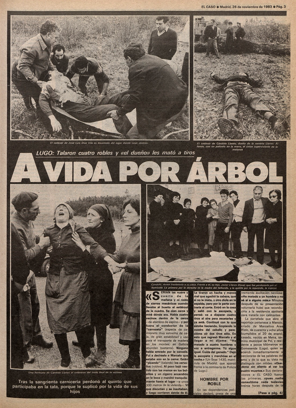 "Una vida por árbol", tituló 'El Caso' en páginas interiores.