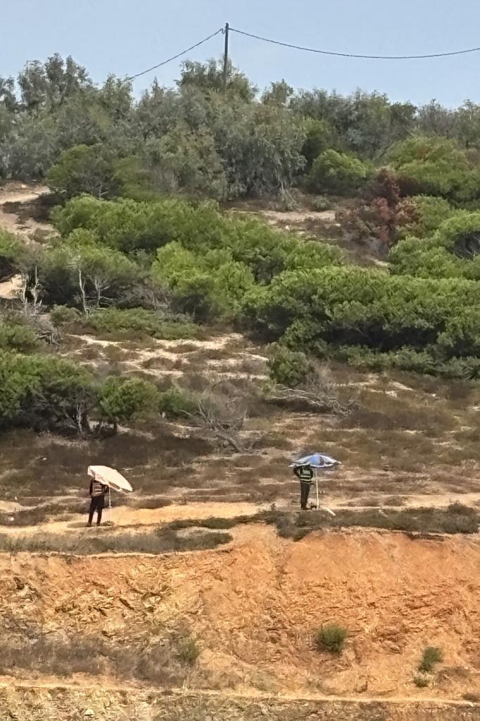 Agentes marroquíes bajo sombrillas desplegados en las colinas cercanas a Ceuta.
