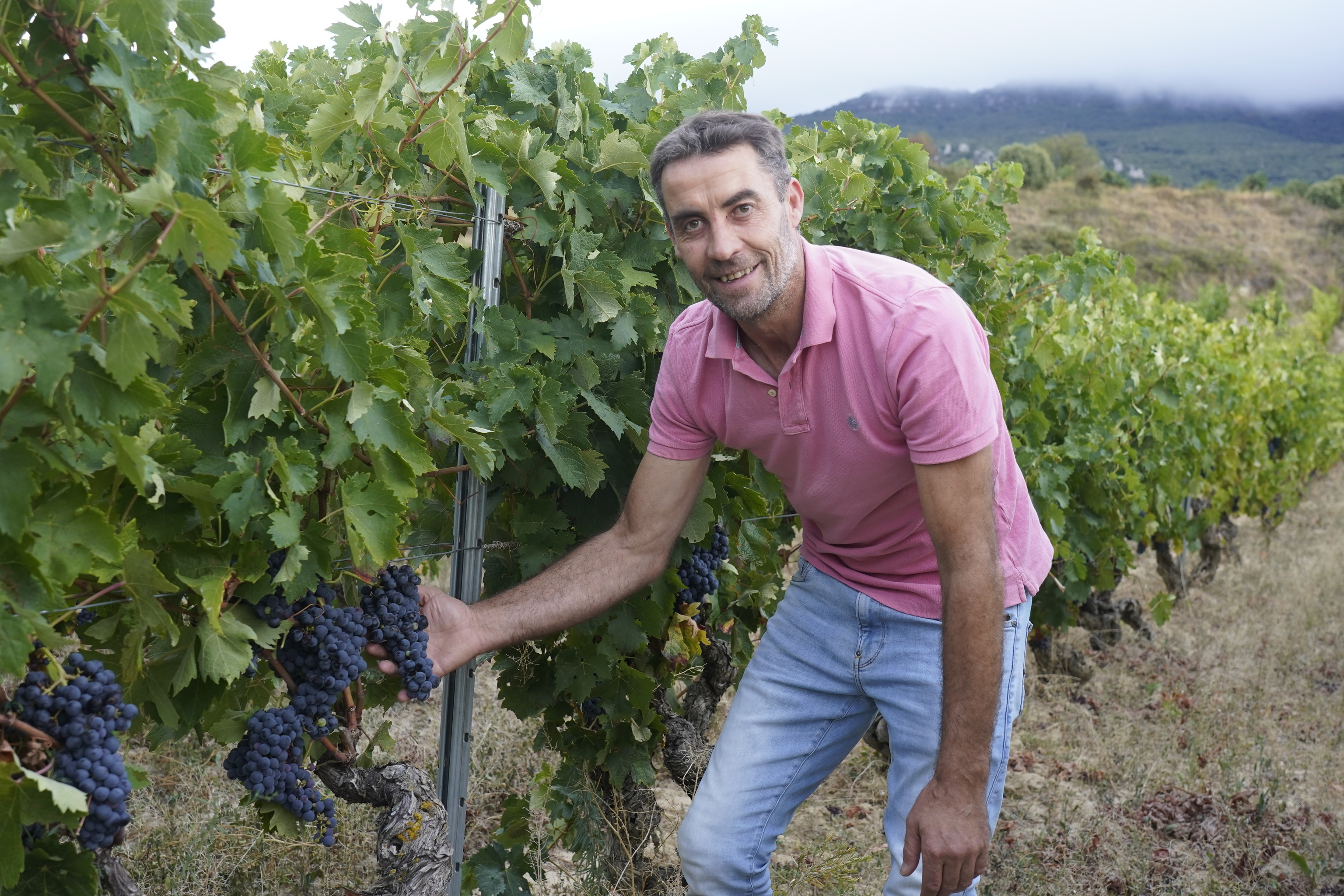 El viticultor y alcalde de Villabuena de �lava, I�aki P�rez Berrueco.