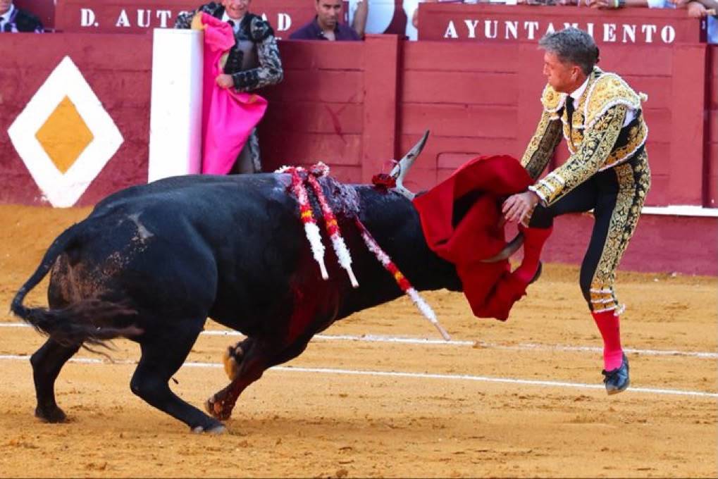 Momento de la cornada de Escribano