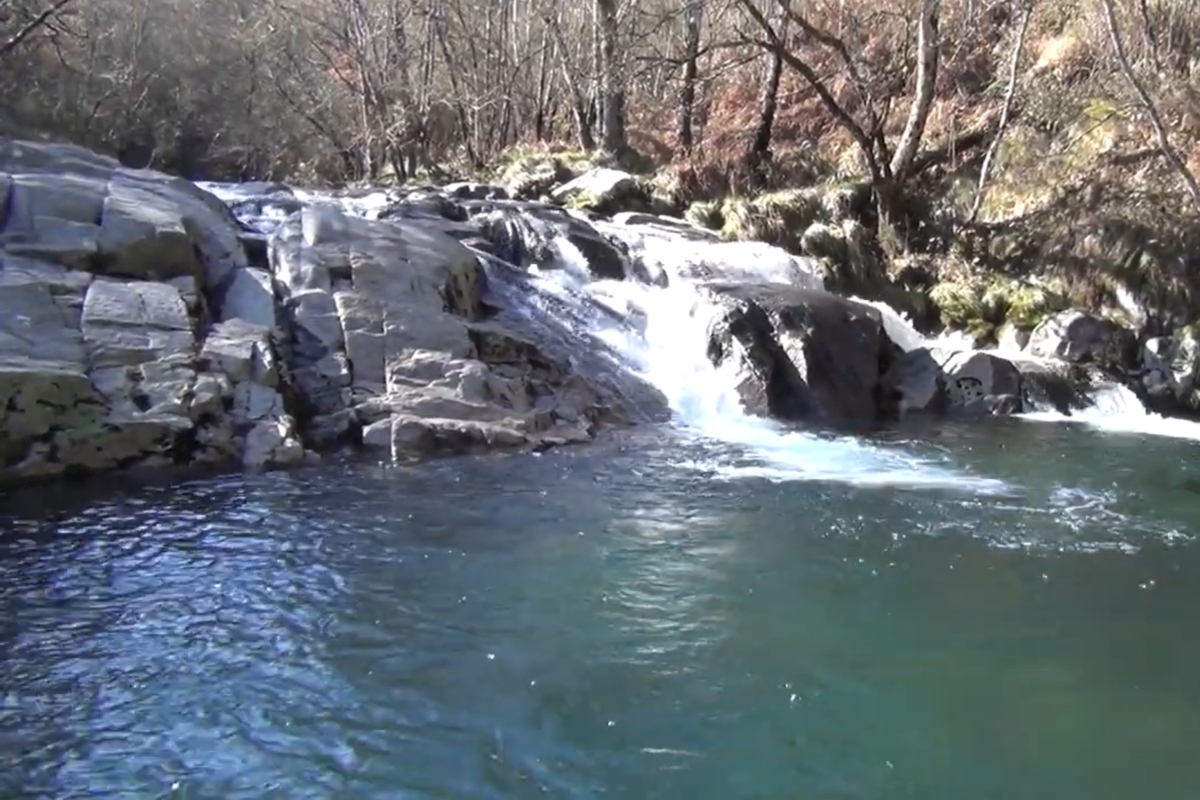 La sencilla ruta que termina en unas pozas de agua cristalina rodeadas de bosque: una de las m�s bonitas de Galicia