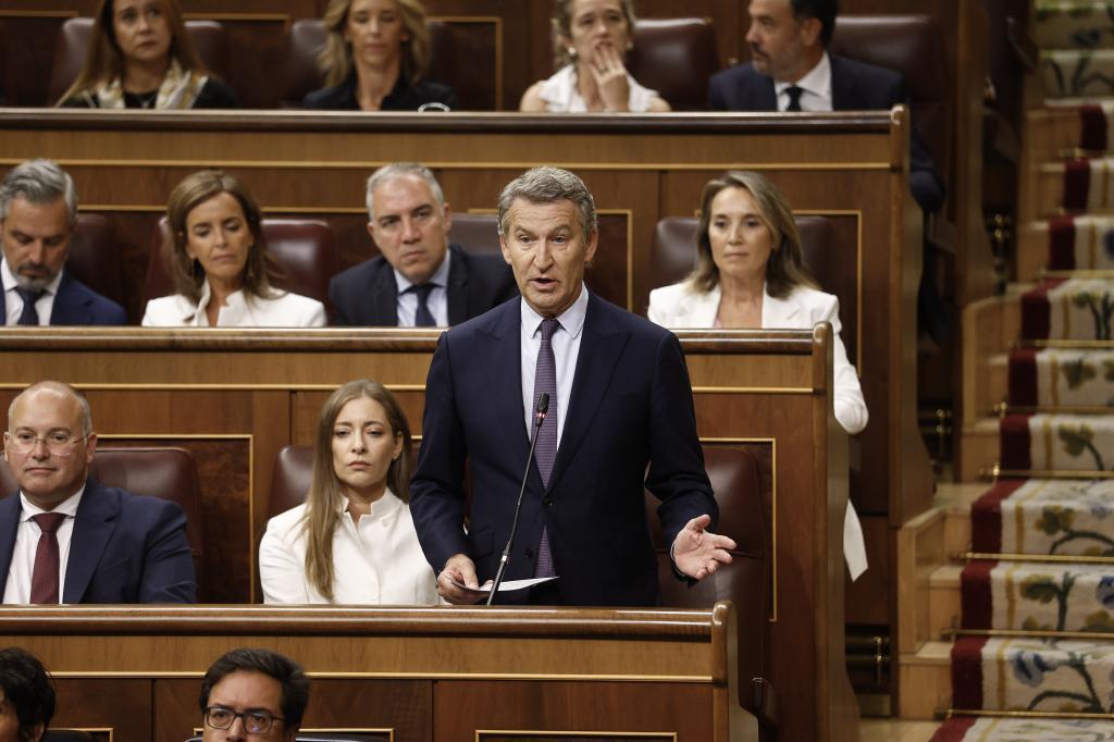 Alberto Núñez Feijóo, durante su intervención en el Congreso.