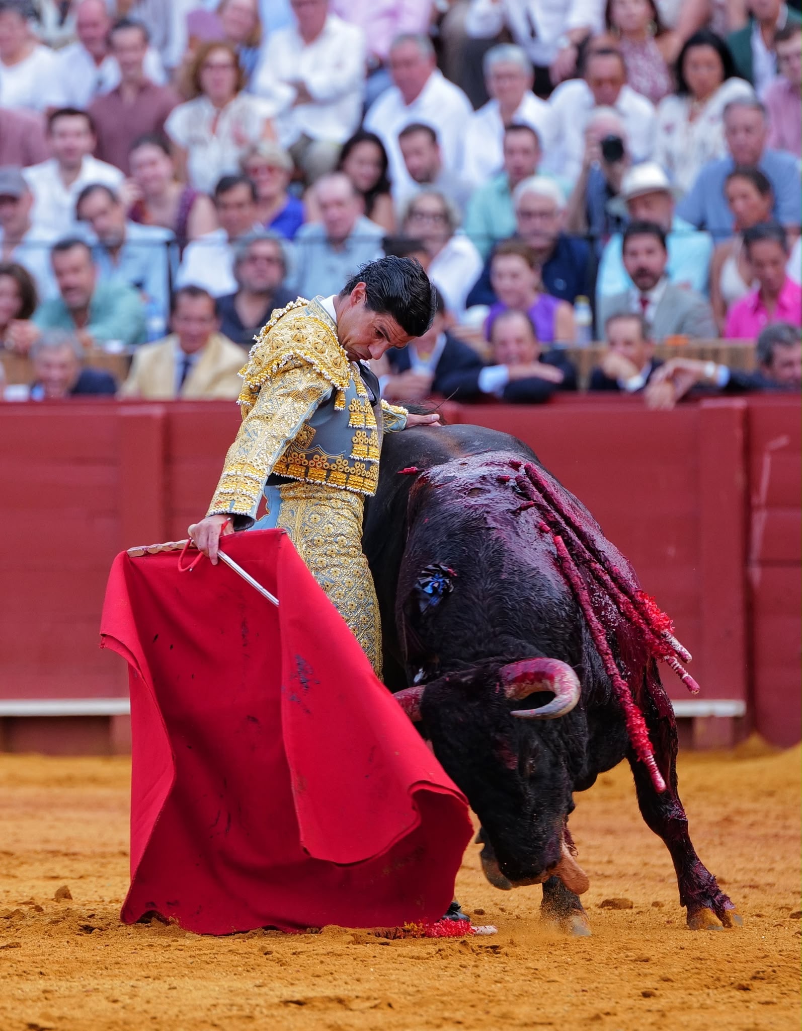 Pablo Aguado en la Plaza de Toros de la Maestranza de Sevilla