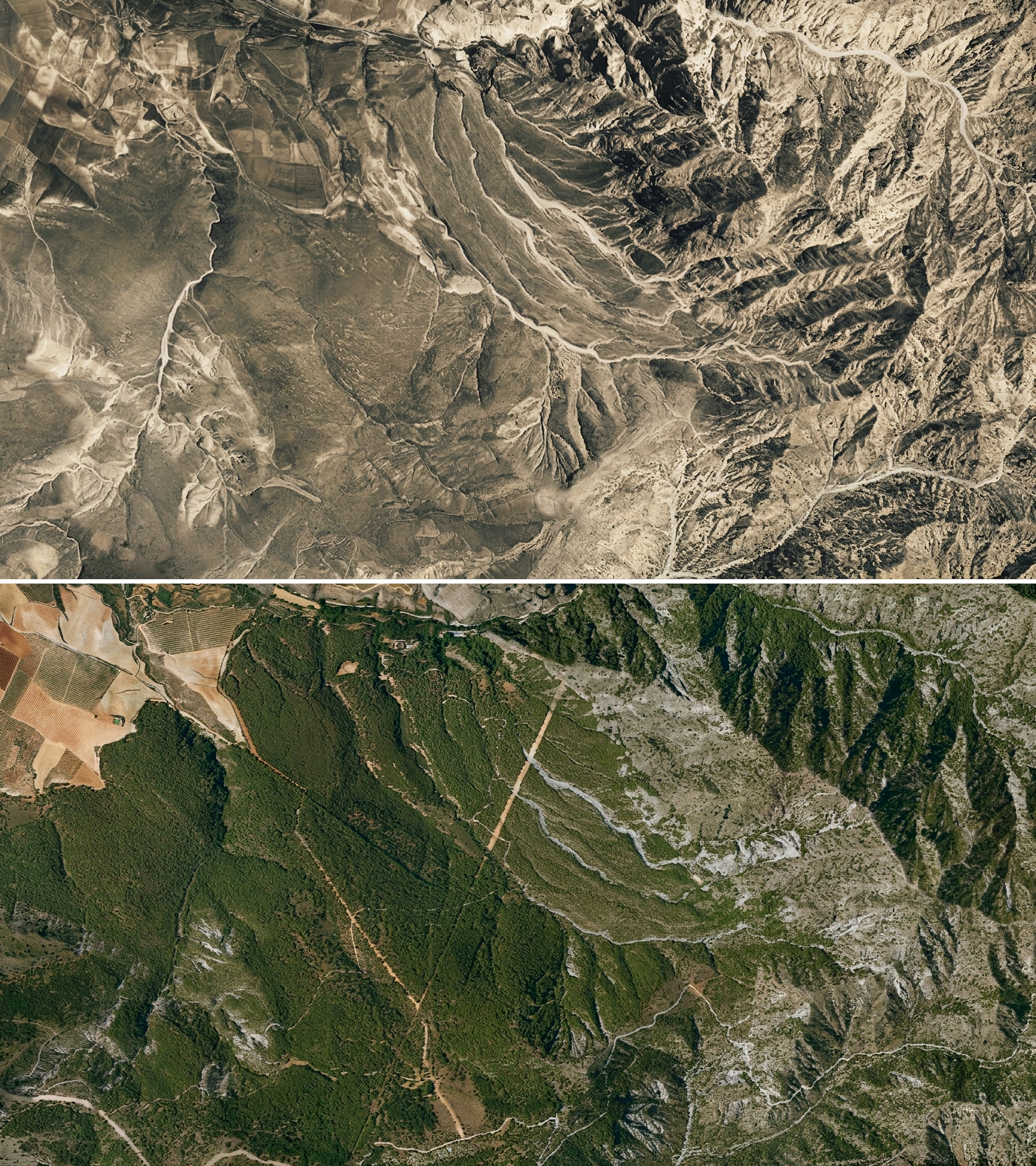 Sierra Nevada.