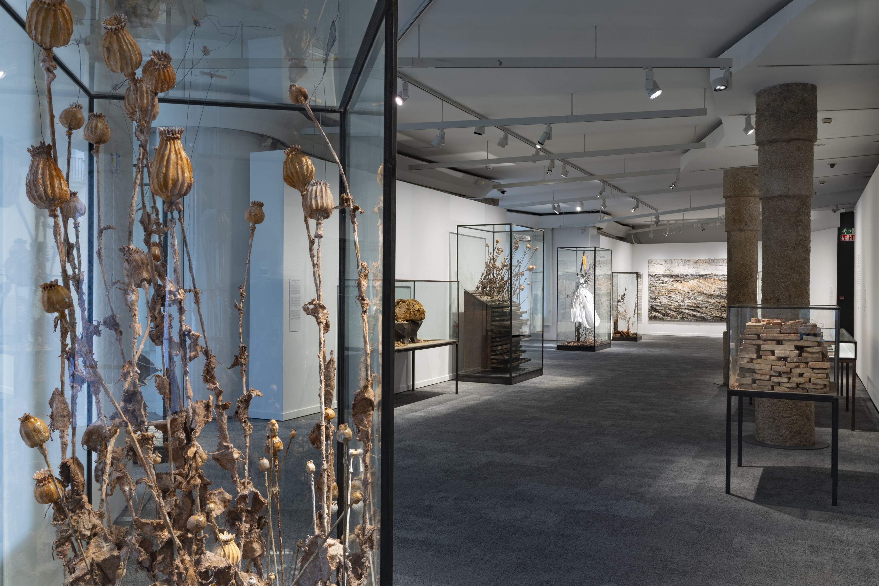 Algunas de las vitrinas de 'Opus Magnum' desplegadas a lo largo de la exposición.