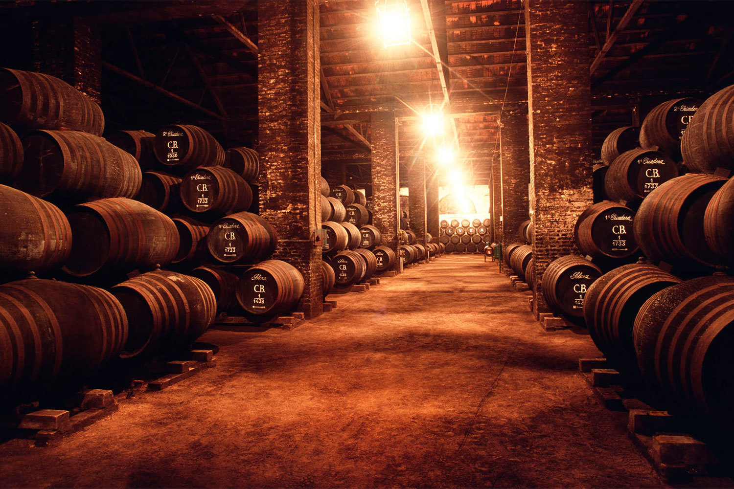 Interior de una de las muchas bodegas del municipio.