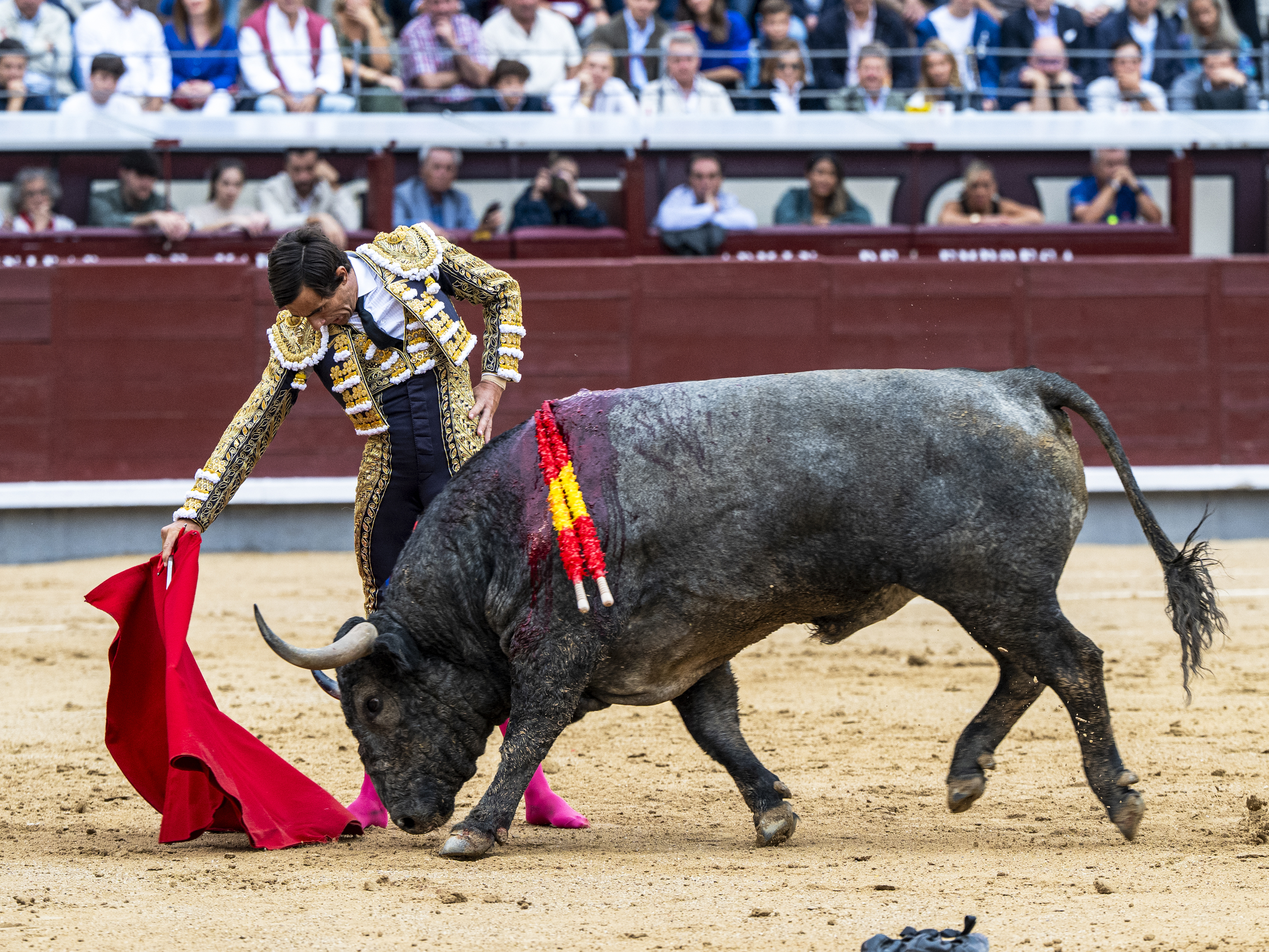 Derechazo de Ureña al segundo, un toro de extraordinaria clase