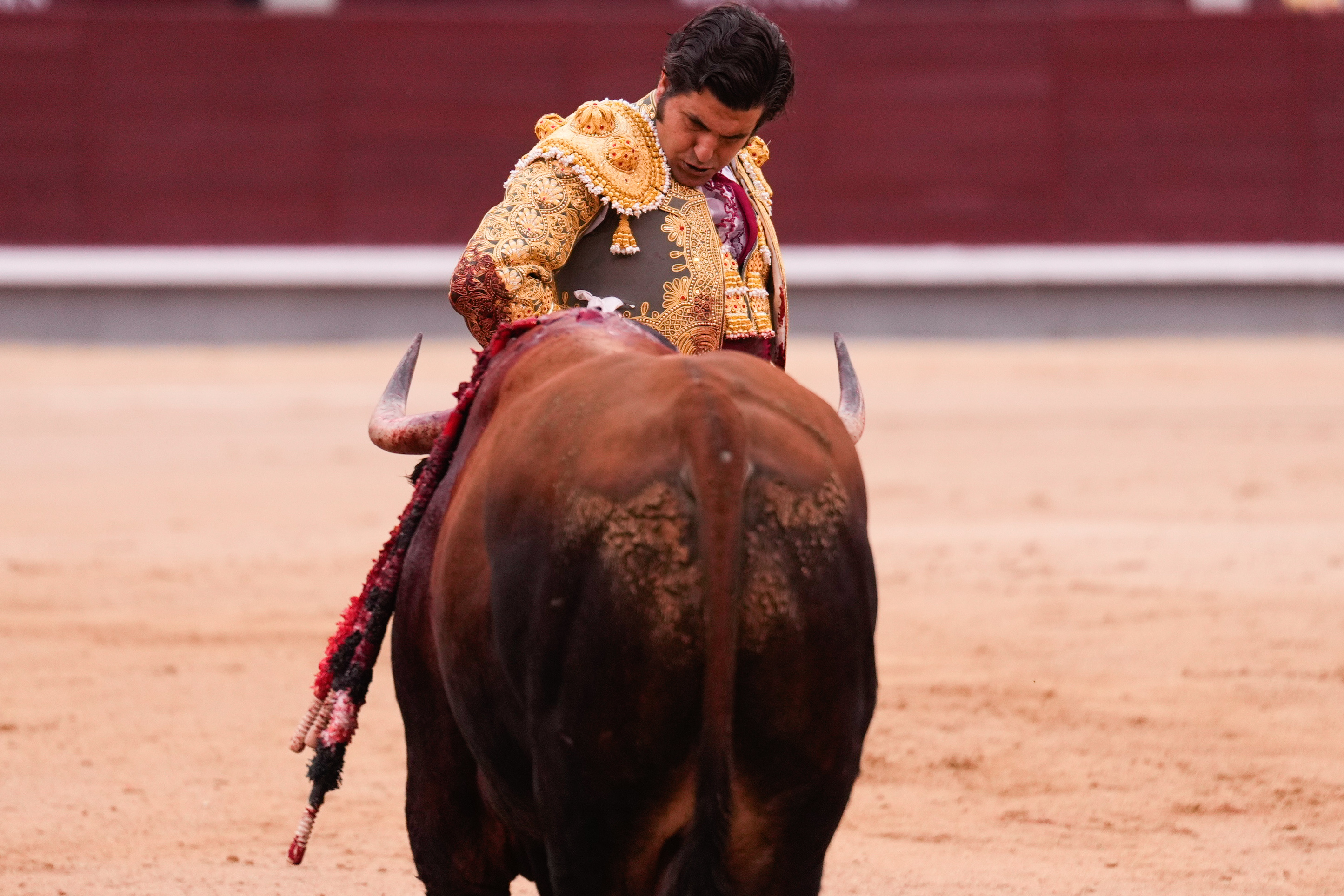 Morante cita al cuarto toro este lunes en Las Ventas