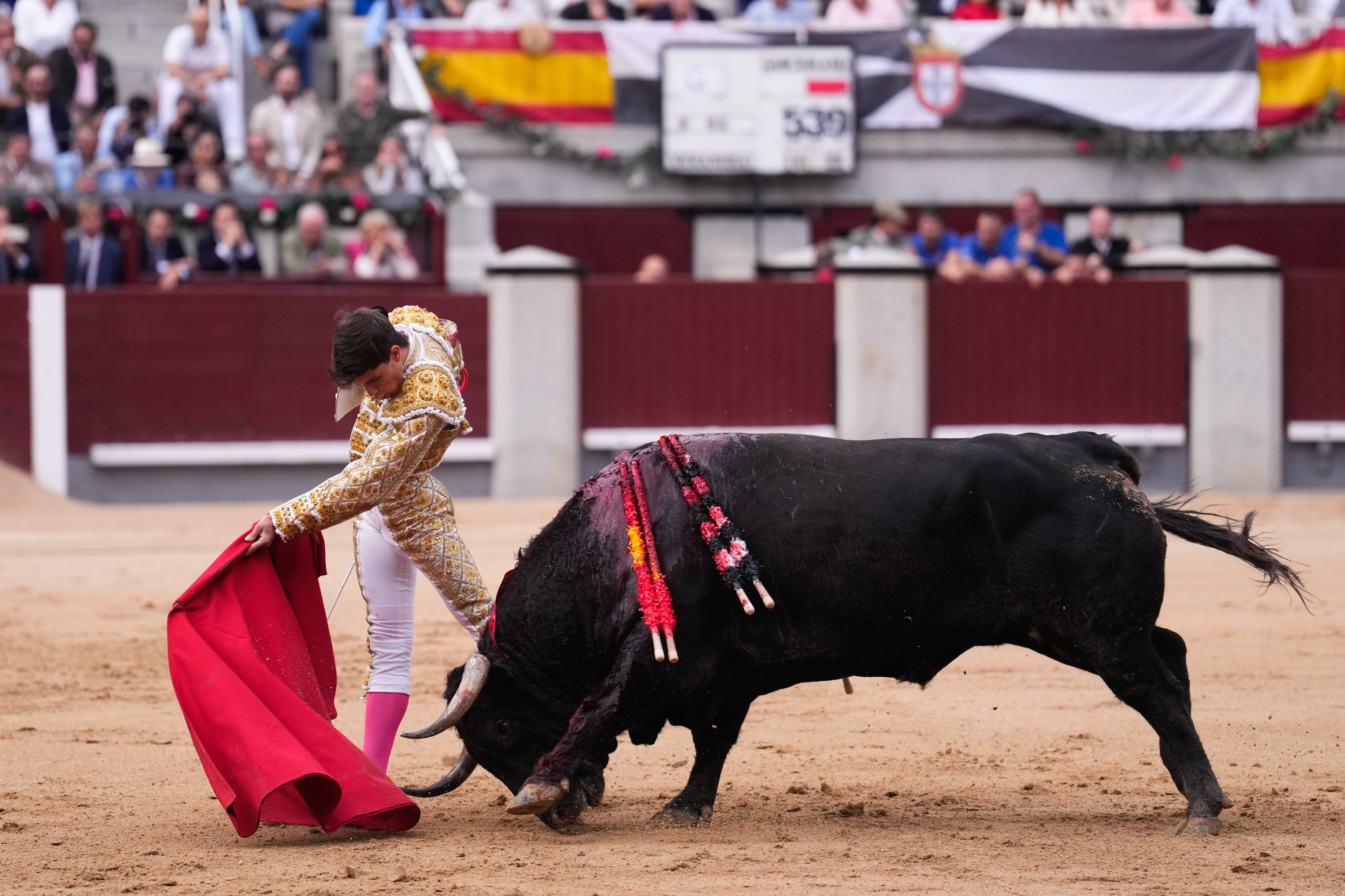 Pase de pecho de Aarón Palacio al gran toro de su confirmación