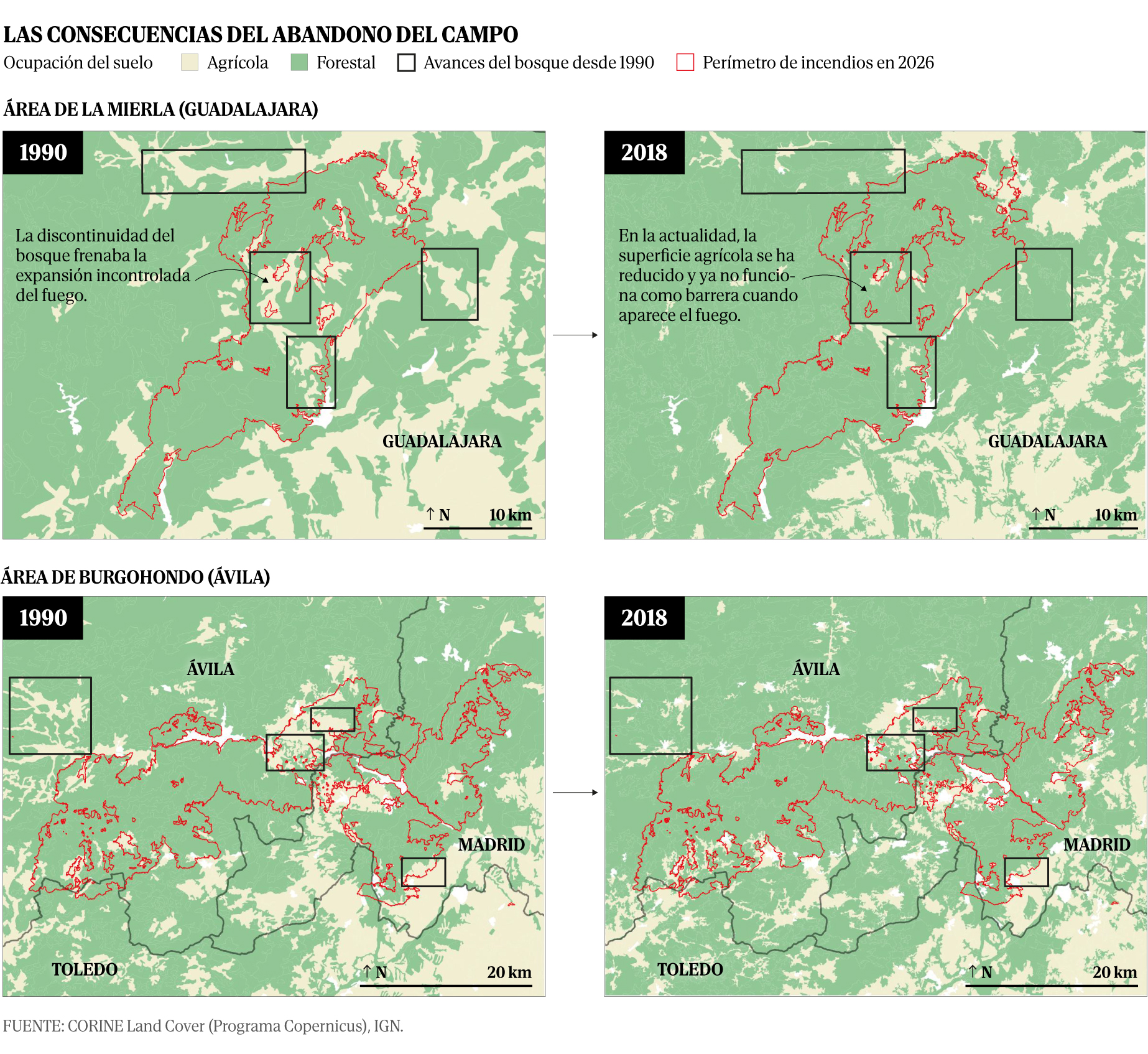 Grafico: en las areas de los recientes incendios de la mierla y burgohondo se observa que la superficie forestal aumento entre 1990 y 2018 como consecuencia de una disminucion del terreno destinado a agricultura