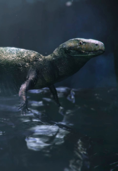 Cuando las ballenas caminaban