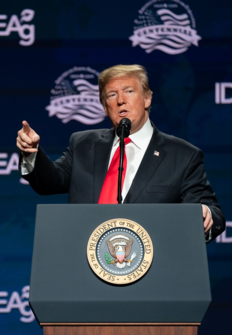 Por encima de la ley: Trump y el FBI | Programación TV
