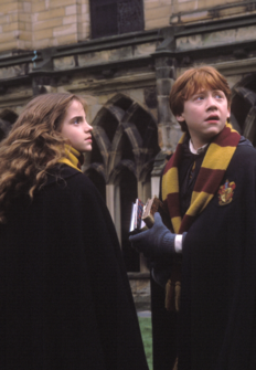 Harry Potter y la Cámara Secreta