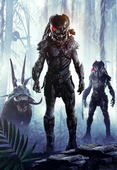 Programa Predators Predators | Programación TV